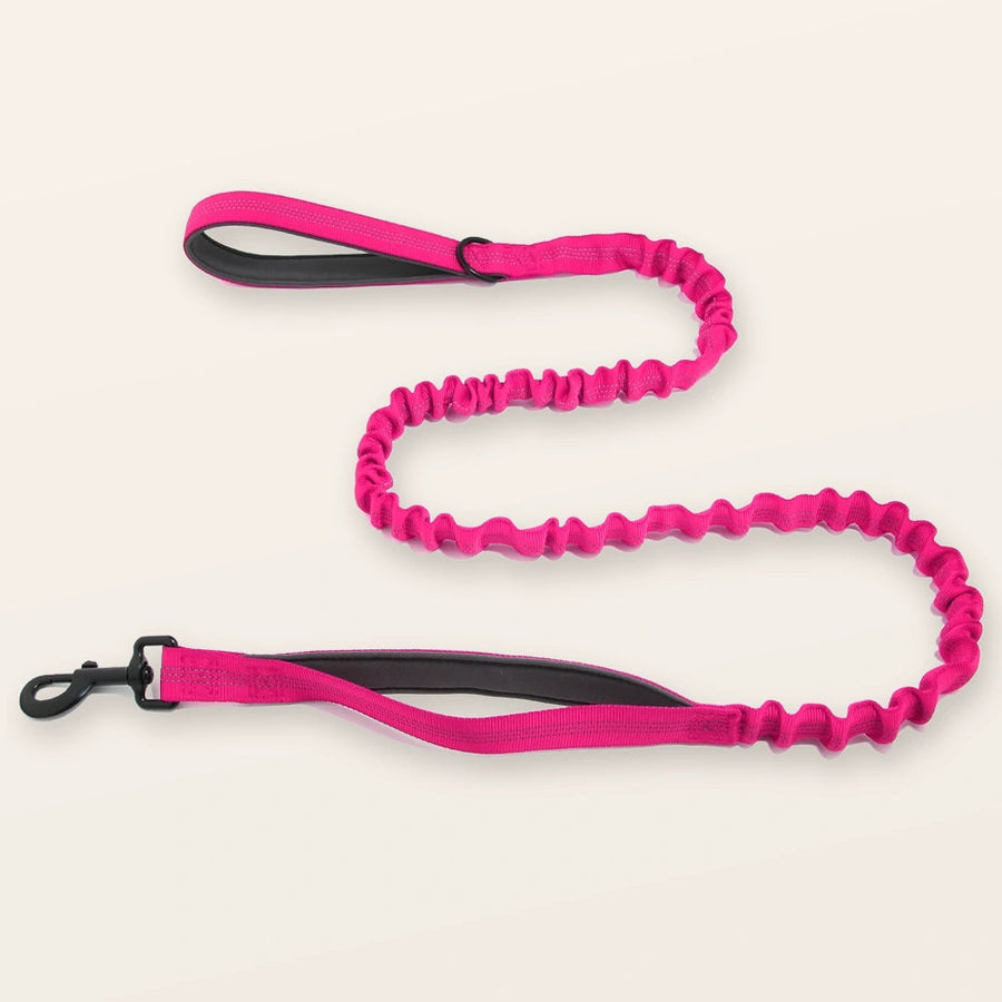 Bungee Lead