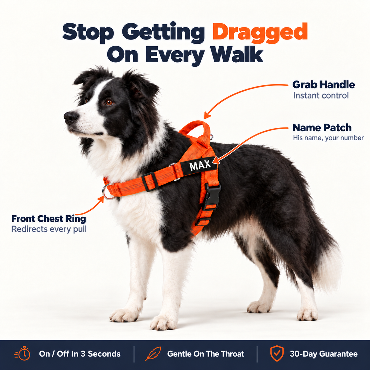 Pawones No-Pull Harness, front-clip dog harness