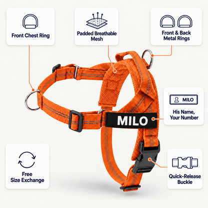 Pawones No-Pull Harness on a dog