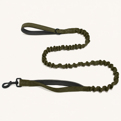 Bungee Lead