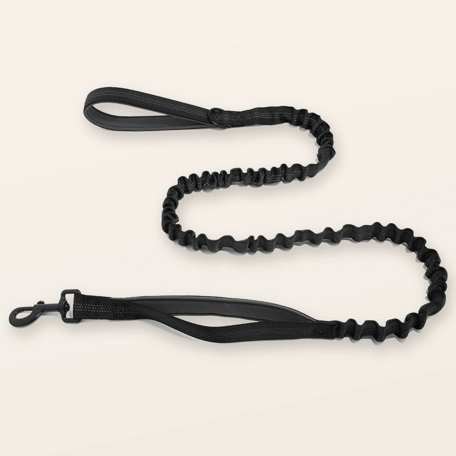 Bungee Lead