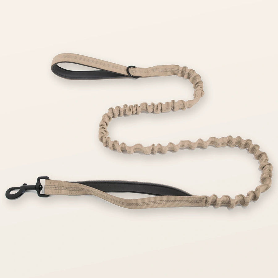 Bungee Lead