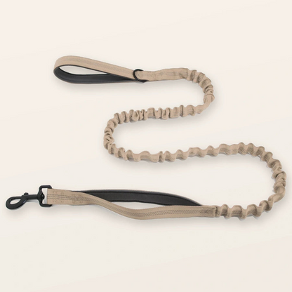 Bungee Lead