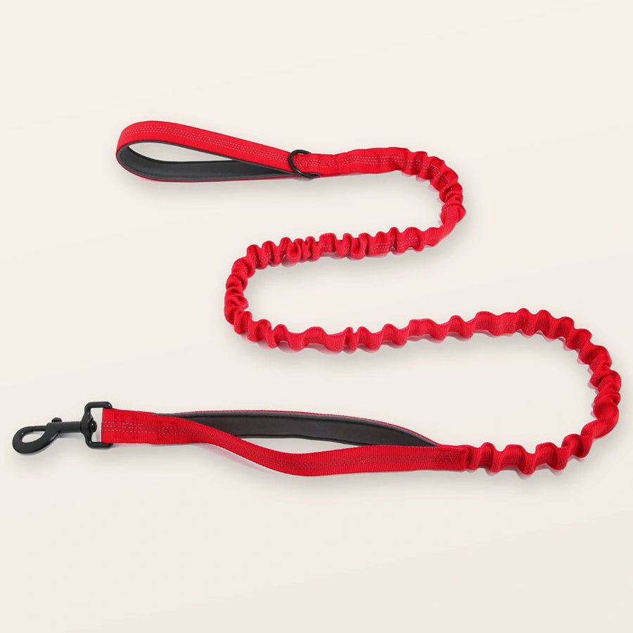 Bungee Lead
