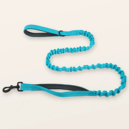 Bungee Lead