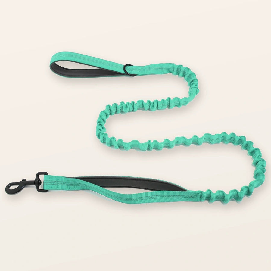 Bungee Lead