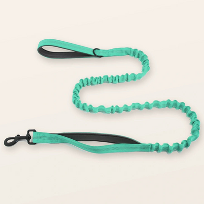 Bungee Lead