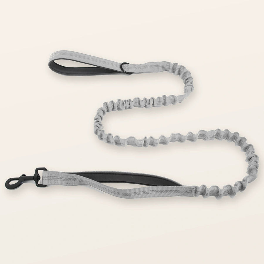 Bungee Lead