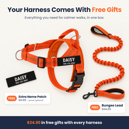 Pawzies™ No-Pull Harness