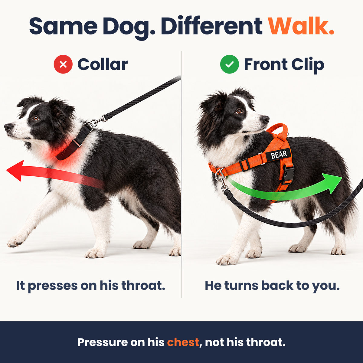 Front chest clip on the Pawones No-Pull Harness