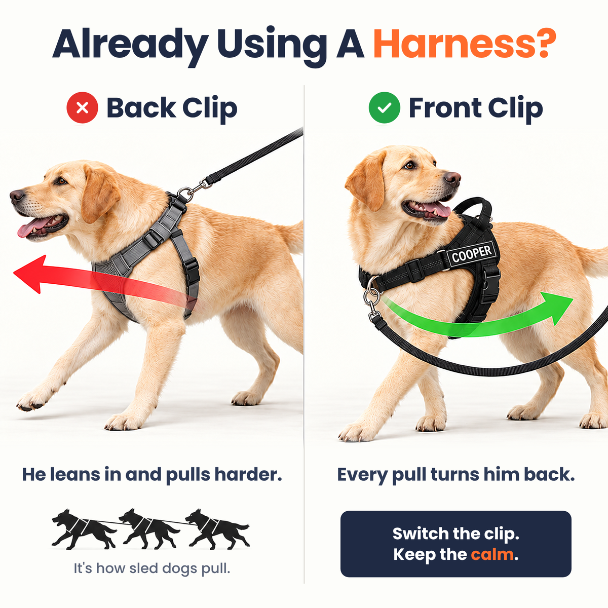 Pawones No-Pull Harness details