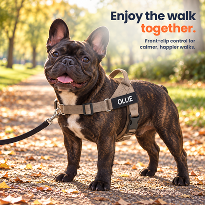 Pawones No-Pull Harness with leash