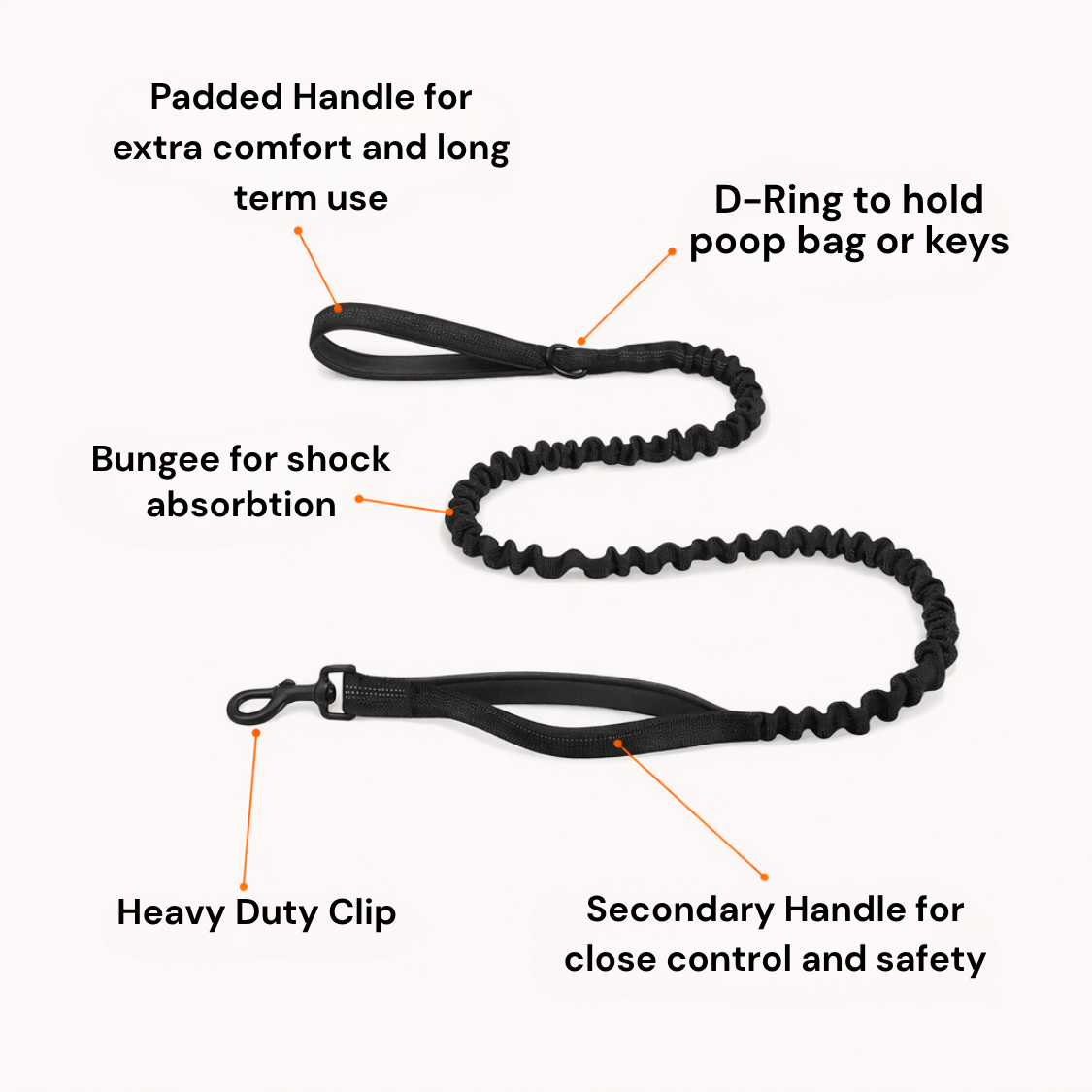Bungee Lead